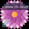 6T体育 logo