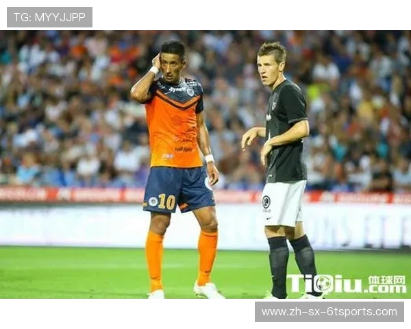 法甲外援合同价值分析及其对俱乐部经营的影响